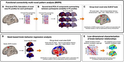 Affective Enhancement of Episodic Memory Is Associated With Widespread Patterns of Intrinsic Functional Connectivity in the Brain Across the Adult Lifespan